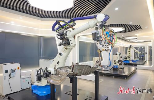 向新向質(zhì)向未來 蘭州市推進科技創(chuàng)新培育新質(zhì)生產(chǎn)力紀實